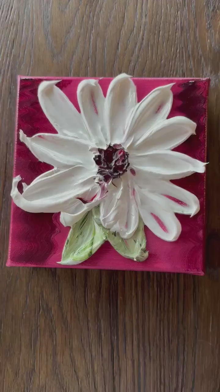 Petal Pops 6x6