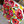 Red Red Roses-Creative Womanhood