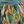 Water Song-Creative Womanhood