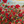 Eternal Bloom, A Dance Of Poppies-Creative Womanhood
