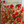 Eternal Bloom, A Dance Of Poppies-Creative Womanhood