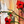 Poppy Love-Creative Womanhood