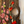 Barn Blossoms-Creative Womanhood