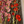 Barn Blossoms-Creative Womanhood