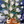 Enchanted Tulips-Creative Womanhood
