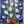 Enchanted Tulips-Creative Womanhood