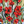 Love Story full of Poppies-Creative Womanhood