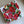 Red Roses 4x4