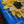Sunflower Love
