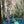 Midwest Spring 36x12