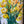 Petite Bouquet 5x7 framed