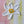 Flower: Petal Pops 6x6