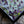 Reflections of Iris, 34x34, Black frame, Floral Abstract Impasto Painting - Diagonal, Item# 131