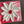 Freedom Flower