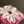 Freedom Flower