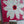 Freedom Flower
